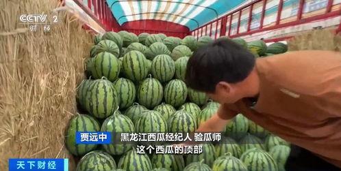 五一吃瓜网最新官方入口