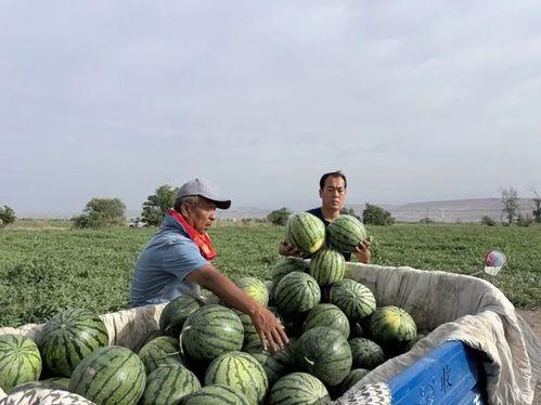 五一吃瓜网最新官方入口