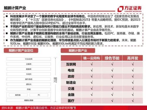 国产110页,深度解析我国科技发展的新篇章